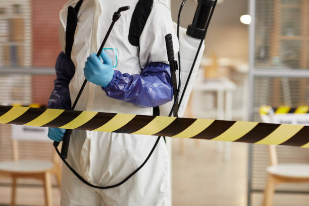Professional Hoarding Cleanup technician working in Shirley, NY